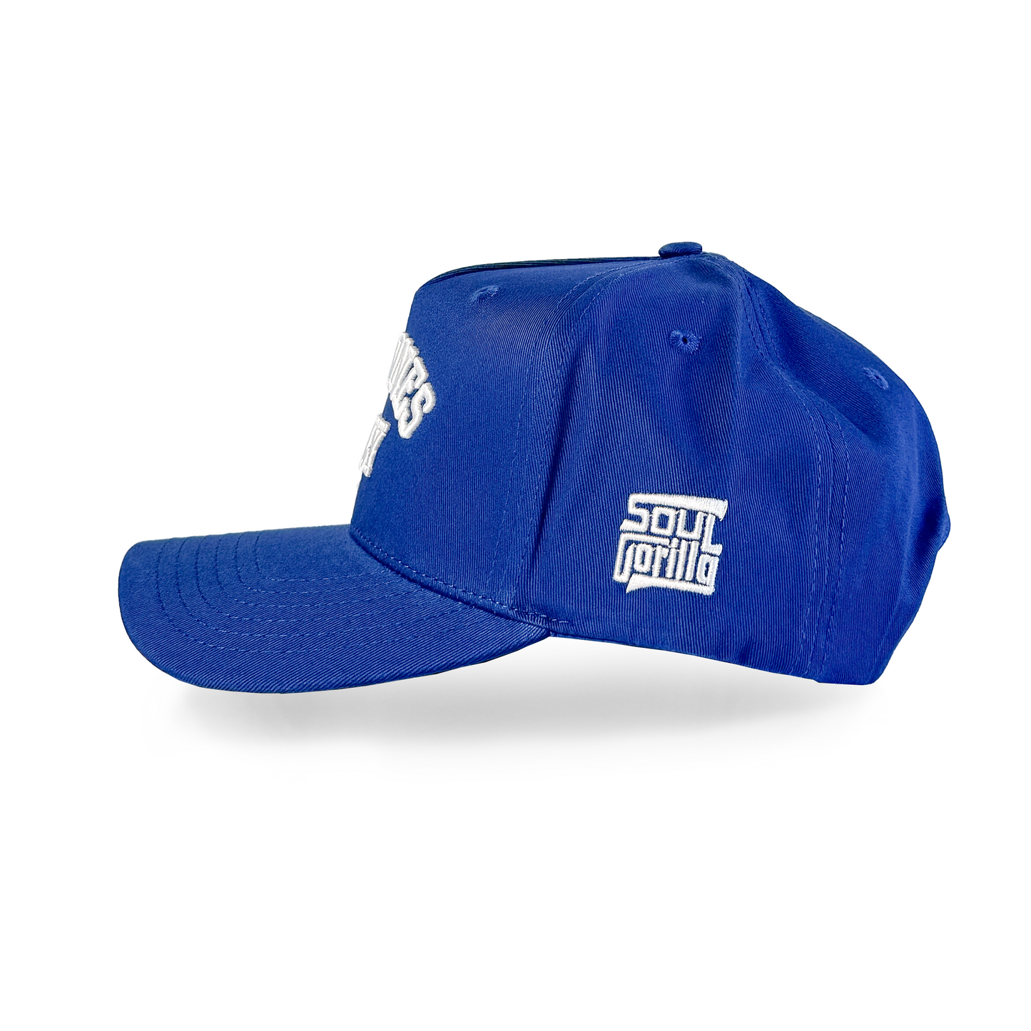 "Real Ones Only" Varsity Snapback All Blue